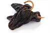 Earthy Delights Dried Ancho Chiles - Food For Thought