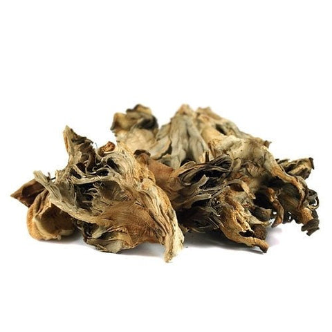 Image of Earthy Delights Dried Hen of the Woods Mushrooms - Food For Thought