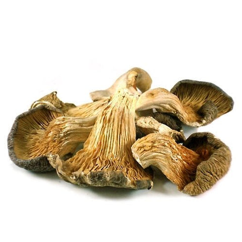 Image of Earthy Delights Dried Oyster Mushrooms - Food For Thought